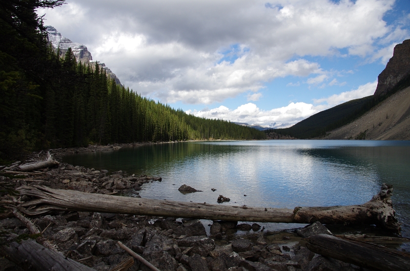 Banff NP 'Moraine  Lake Lakeshore' 16_09_2011 (176).JPG